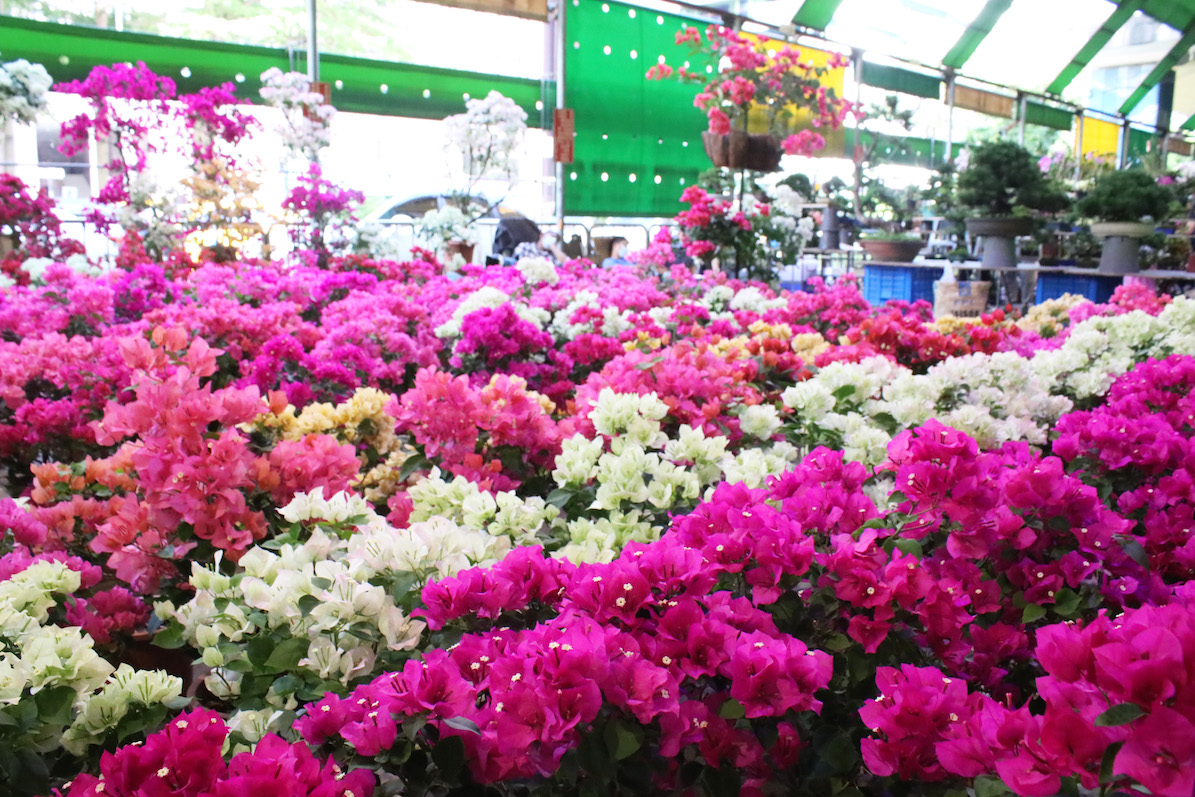 台北 建国暇日花市場にお出かけ 花とグリーンに癒される週末 旅のあと ふたりのレシピ