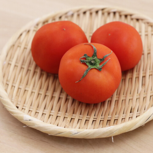 二十四節気　小暑　おすすめの食材　トマト